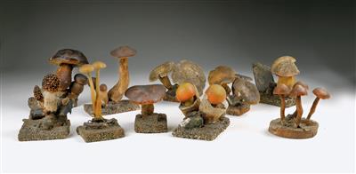 Seltene Sammlung von zehn Pilzmodellen aus Wachs - Antiquitäten, Historische wissenschaftliche Instrumente, Globen und Modelle
